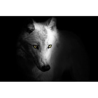 Drapeau Viking Fenrir