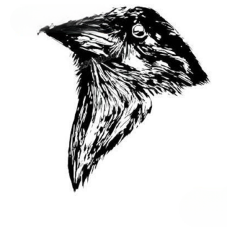 Stickers Corbeau Noir et Blanc
